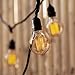 Set of 4 Midwood G25 Vintage Filament 40W (E26) Bulbs