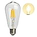 Leadleds Vintage LED Edison Bulbs 60 Watt Equivalent, Warm White 2700k 610 Lumens Non Dimmable LED Bulb, ST64 Antique Light Bulbs E26/E27 Medium Base for Home Kitchen Office