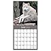 2020 Wolves Wall Calendar