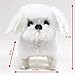 Toysery Puppy Plush Dog Toy Walking Barking Lucky Kids Pet Toy - Battery Operated