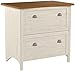 Bush Furniture Fairview 2 Drawer Lateral File Cabinet, Home Office Storage for Letter, Legal, and A4-Size Documents, 32W, Antique White