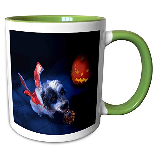 3dRose Sandy Mertens Halloween Designs - Halloween Dog Demon with Candy and Jack o Lantern, 3drsmm - 15oz Two-Tone Green Mug (mug_290225_12)