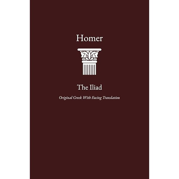 Amazon.com: The Free Indirect Mode: Flaubert and the Poetics of