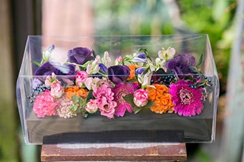 ボックスフラワー シースルーboxフラワー アレンジメントフラワー 生花 ギフト サプライズ お誕生日 お祝い 母の日 結婚記念日 指定日配達とプライム お急ぎ便選べます Mixカラー Primeお急ぎ便