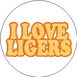 I Love Ligers Pinback Button 1.25
