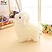 Luckstar Lamb Plush Doll 10'' Creamy Cute and Soft Sheep Stuffed Animal Goat Toys-Perfect Chrismas and Birthday Gift for Children Or Girlfriend