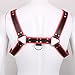 iiniim Men's Faux Leather Body Chest Harness Belt with Buckles D-Rings Adjustable (One Size, Black&Red #2)