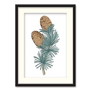 Nordic Style Pinecones Botanical - Framed Print