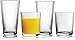 Circleware Huge Set of 16, 8-15.7 oz & 8-12.5 oz, Highball Tumbler Drinking Glasses and Whiskey Cups, Home & Kitchen Party Glassware for Water, Beer, Juice, Ice Tea, Bar Beverages, 8 8, Spectrum