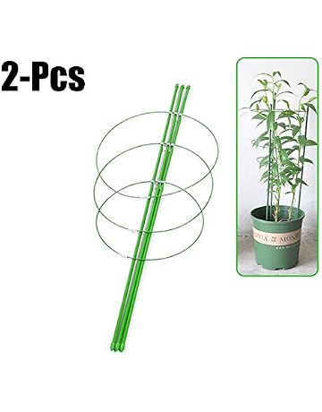 Amazon.es: Soportes para plantas: Jardín