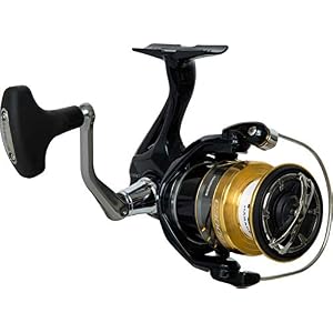 Shimano Nasci Fb – Moulinet Spinning