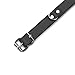 VP Leather Kathleen Collar (Black, Small)