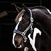 Rambo Padded Halter – WITNEYNAVYHORSEthumb 1