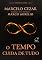 Livro Tempo cuida de tudo