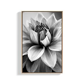 Canvas Wall Art for Living Room, Bedroom Plants Framed Canvas Prints for Home Decoration Ready to Hang - 16x24 inches