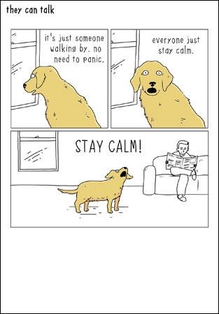 Humorous Greeting Card (WDM8235) Blank/Birthday - Stay Calm - Dog - They Can Talk Range