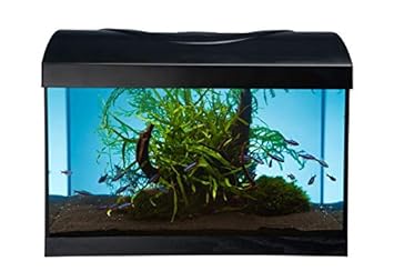 Ruff Ruff and Meow Startup Aquarium für 40 Fische, 40 x 25 x 25 cm