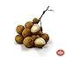 Fresh Longan Fruit (5lb)