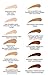 EVXO Organic Liquid Mineral Foundation - Vegan, All Natural, Gluten Free, Aloe Based, Buildable Coverage, Cruelty Free Foundation Makeup - 1 Fl Oz (Sea Shell)