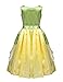 iiniim Little Girls Princess Dress up Cosplay Fairy Tale Fancy Costumes Halloween Party Gowns Light Green&Yellow 5-6