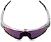 Oakley Mens OO9290 Jawbreaker PRIZM Sport Sunglasses