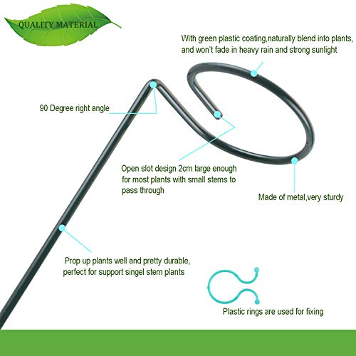 Fashionclubs 6 Pack Plant Support Stakes, Single Stem Support Stakes Metal Garden Flower Support Stakes Plant Cage Support Rings with 12pcs Plant Clips, 17.8" Amaryllis Stakes for Tomatoes Orchid Lily