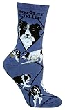 Border Collie Animal Socks On Blue 9-11