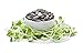1 Lb Pouch Organic Non-GMO Black Oil Sunflower Microgreens Seeds and Sprouting Seeds (Shell On) - Edible Sun Flower Micro Green Seeds, Organic Sprout Seeds, Seeds for Sprouting, and Sprout Mix primary