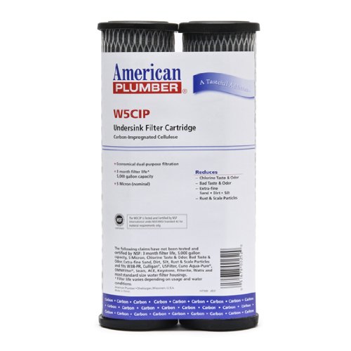 5 MICRON CARBON TASTE ODOR 10