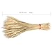 GTIDEA Large Golden Dried Natural Wheat Sheave Bundle Premium Spring Arrangements Full Wholesale DIY Home Kitchen Table Wedding Centerpieces Decorative