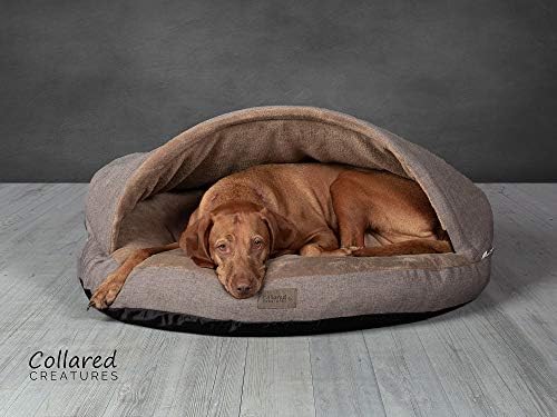 collared creatures bed