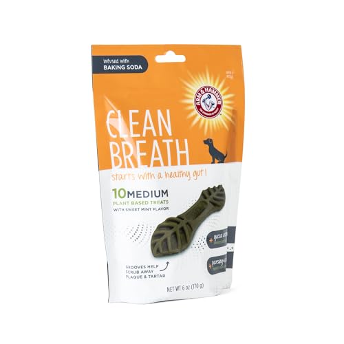 ARM & HAMMER FOR PETS CLEAN BREATH FROM THE INSIDE DENTAL TREATS FOR DOGS, SIZE MEDIUM | MINT FLAVOR FRESH BREATH TREATS WITH PARSLEY, CLOVE AND YUCCA