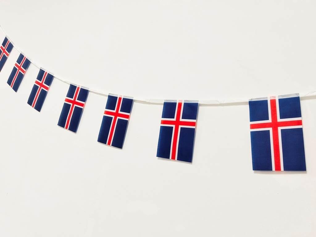 Pandiui23 Iceland Flag 40 Pack, 14 x 21 cm, Polyvinylchloride Rectangular Flag, Island Color