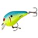 Bomber Lures Square A Crankbait Fishing Lure, Fishing Gear and Accessories, 1 5/8