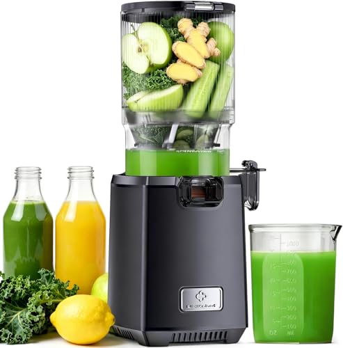 LINKChef Fruit and Vegetable Juicer Extractor, 130 mm Gauge and 1.8 L Capacity Centrifuge, 250 W Slow Juicer Machine with Reverse Function, Easy to Install and Clean, BPA-Free, Black
