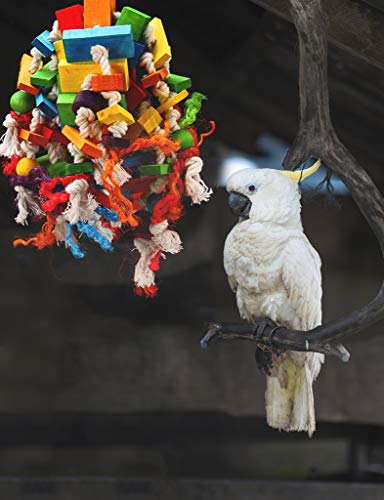 3 MEWTOGO+Large+Parrot+Toy+Multicolored