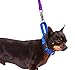 GOGO Pet Products 5/8-Inch Martingale Dog Collar, Small, Blue