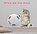 PetDroid Interactive Electronic Cat Toy, Hanging Concealed Motion Cat Mouse Tail Toy, 2ND Generation (White), Medium