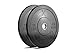 Premium Black Bumper Plate Solid Rubber with Steel Insert - Great for Crosstraining Workouts (10lb Pair)