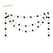 NICROLANDEE Black Gold Party Decorations - 28 PCS Black Gold Tissue Paper Pom Poms Hanging Paper Lanterns Star Garland Tassel for New Years Decoration 2025, Birthday, Prom Night, Graduation Decoration