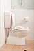 Dreambaby Soft Touch Potty Seat, White
