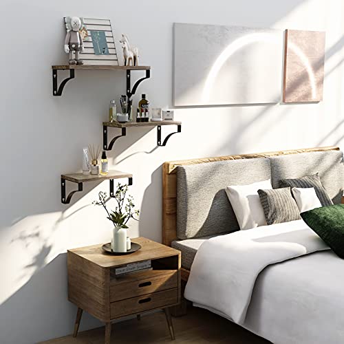 Pipishell Set of 3 Wall Shelves, Wood and Metal Wall Shelves, Rustic Metal Wire Storage Shelves, Maximum Load 10 kg (Brown)