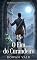 Livro O Fim do Curandeiro: Romance gay lobisomens sombrio | Silver Ridge Pack Livro 15