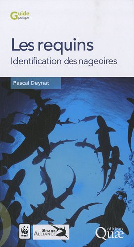 Les  requins