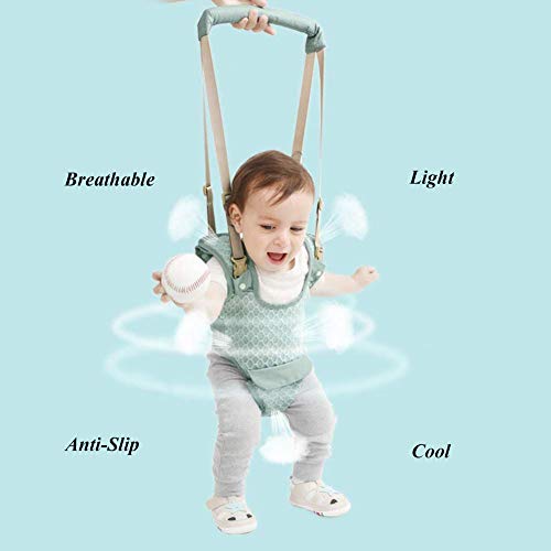1 Toddler+Walking+Assistant+Learning+Functional