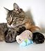 SmartyKat cat Toythumb 4