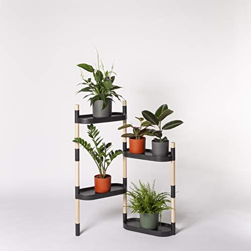Citysens - Estantería para Plantas con riego automático, Negra, 4 ...