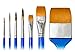 Sterling Edwards Signature Series Brush Set with DVD