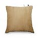 DOZZZ Set of 2 Premium Hypoallergenic Stuffer Pillow Insert Sham Square Form Cushion Polyester, 18