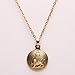 Gold Pt Iranian Persian Shir Khorshid Lion Sun Pahlavi Necklace Iran Farvahar (24